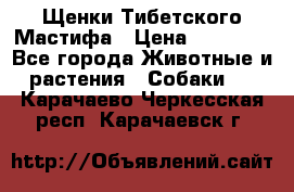 Щенки Тибетского Мастифа › Цена ­ 90 000 - Все города Животные и растения » Собаки   . Карачаево-Черкесская респ.,Карачаевск г.